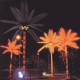PALMIER LUMINEUX 5.50 m LDTM