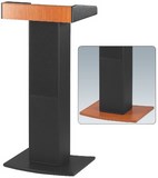 PUPITRE AMPLIFIE SPEECH-100